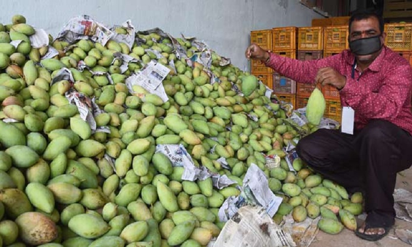 Hyderabad’s Kothapet fruit market gets ready for mangoes