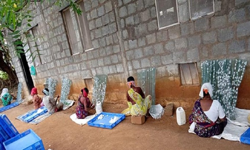 Daily Wagers at Farm Maintain Social Distance in Siddipet