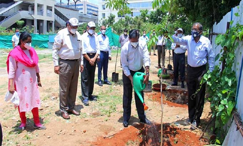 HMRL Takes Up Large Scale Plantation For "Telanganaku Haritha Haram"