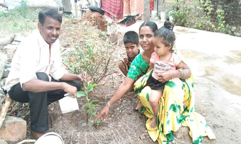 Ibrahimpur villagers plant saplings to wish Harish Rao