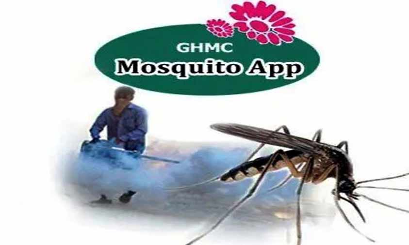 GHMC To Take Various Measures To Control Mosquitoes In Hyderabad