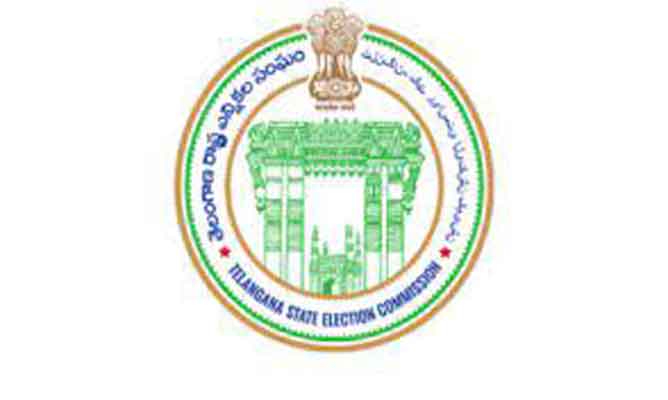EC to Decide on MLC Elections After Govt Reply