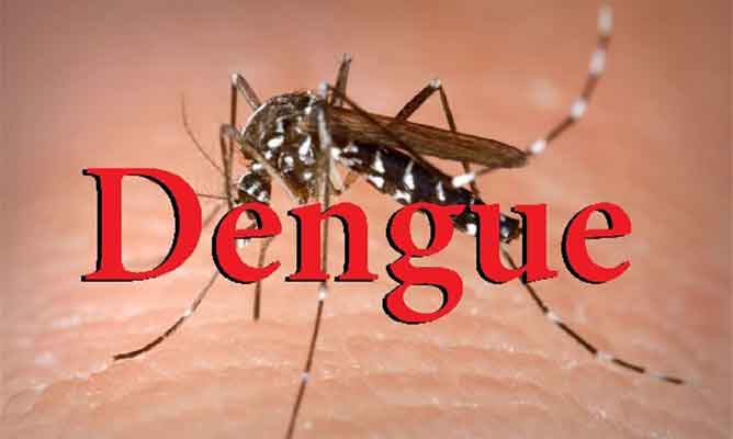 Delhi Reports 55 Dengue Cases in 2021