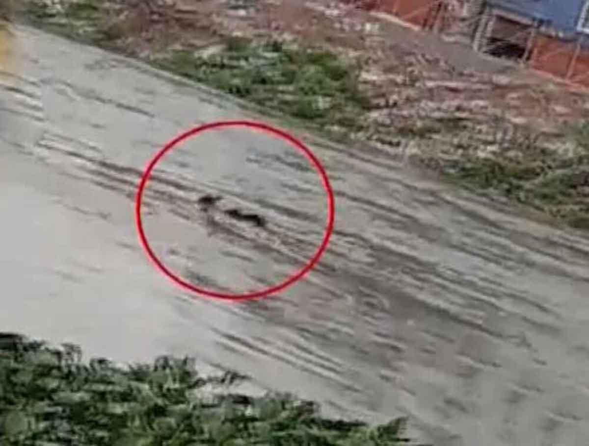 Body Found Floating in Musi Canal in Amberpet