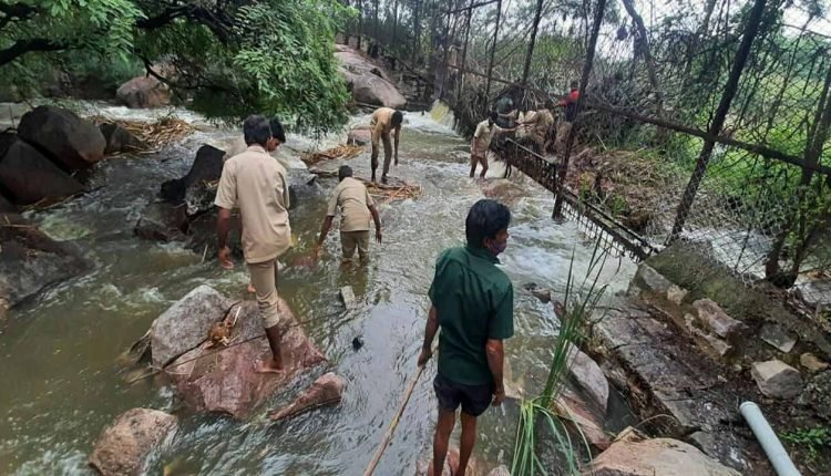 Hyderabad Rains: Nehru Zoo Park Flooded
