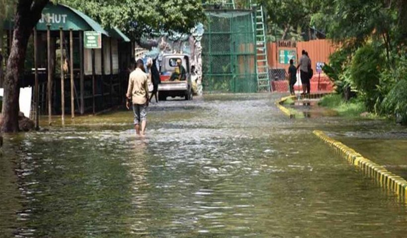 Hyderabad Rains: Nehru Zoo Park Flooded