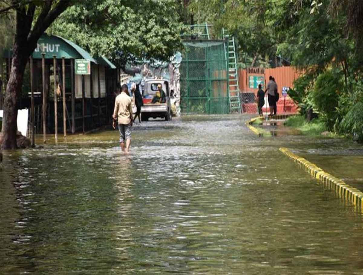 Hyderabad Rains: Nehru Zoo Park Flooded
