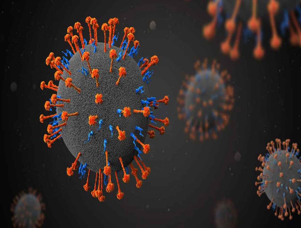 Nipah Virus: 15 Samples Sent for Testing At High-Risk