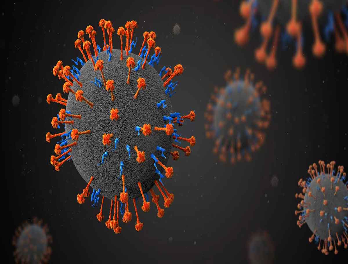 Nipah Virus: 15 Samples Sent for Testing At High-Risk