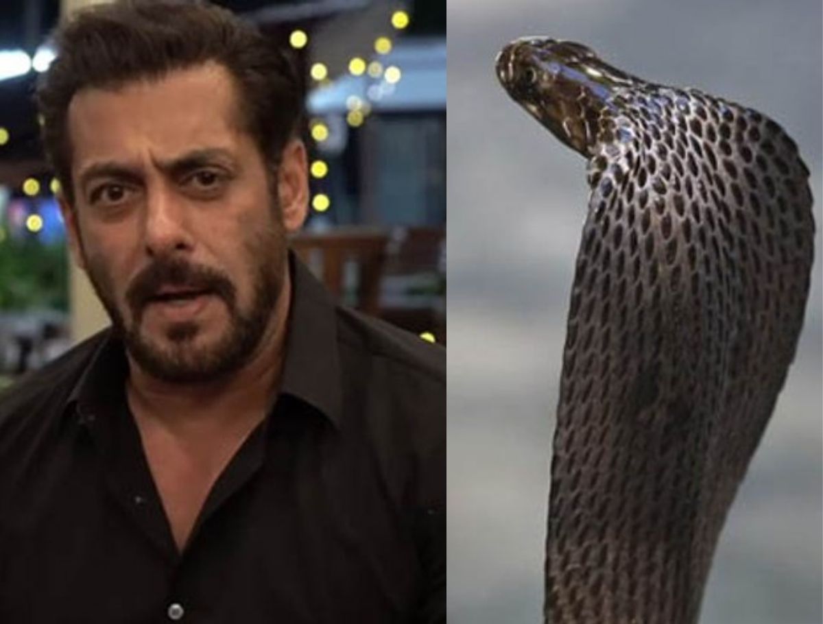 Salman Khan bitten by snake, Know His Condition