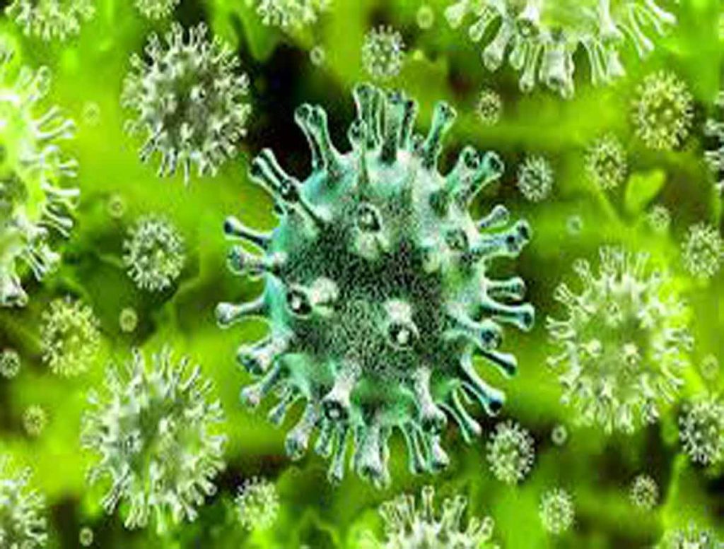 Coronavirus: Andhra Pradesh Tops In Vaccination