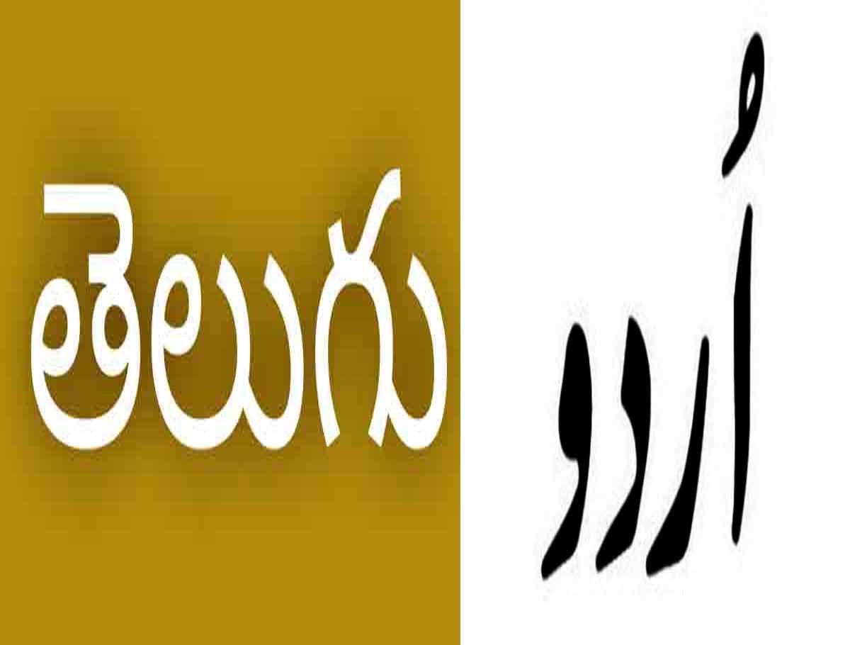 Two Day Training Classes for Telugu, Urdu Journalists