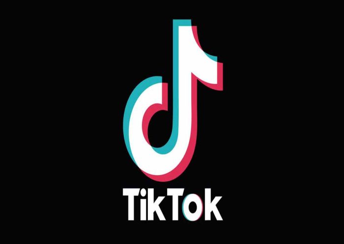 TikTok is Coming Back in India