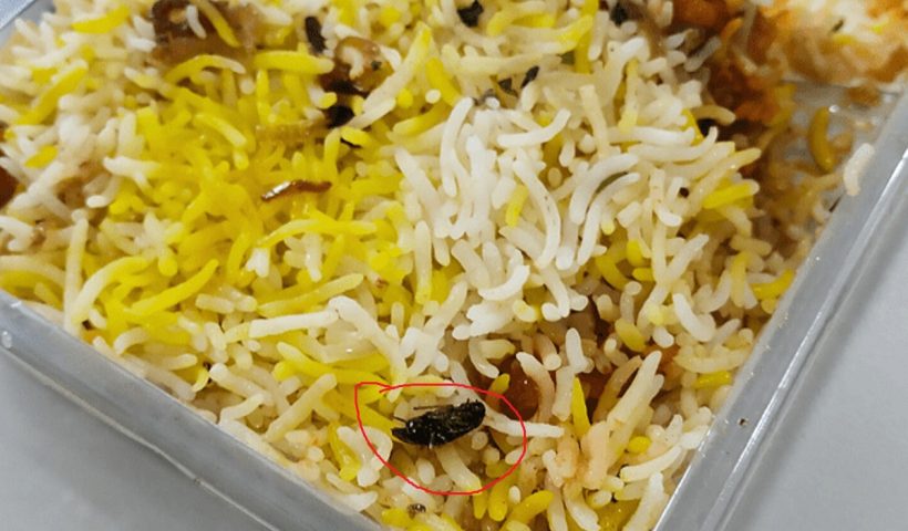 Hyderabad Restaurant Fined Rs. 20,000 for Cockroach in Chicken Biryani