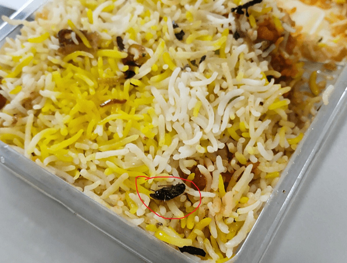 Hyderabad Restaurant Fined Rs. 20,000 for Cockroach in Chicken Biryani
