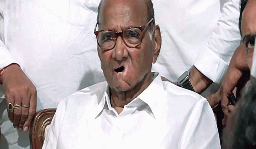 BJP Does Not Have Its Feet On The Ground: Sharad Pawar