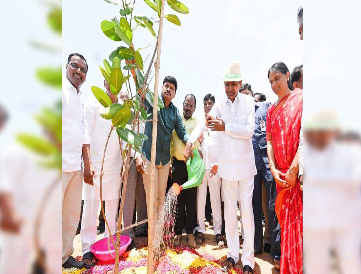 World Environment Day: CM KCR Takes Part in Green Indian Challenge
