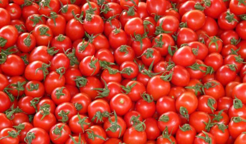 Prices of Tomato Falls To Rs.3 per kg in Nandyal