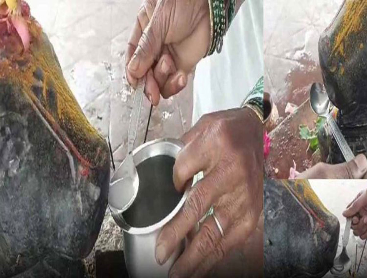 Nandi Statue Drinking Milk, Devoters Lined Up