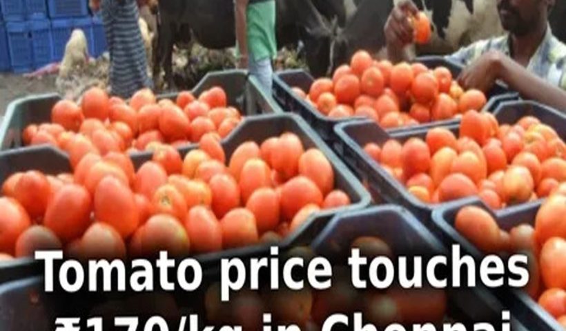 Tomato Price in Chennai Touches Rs 170 per kg