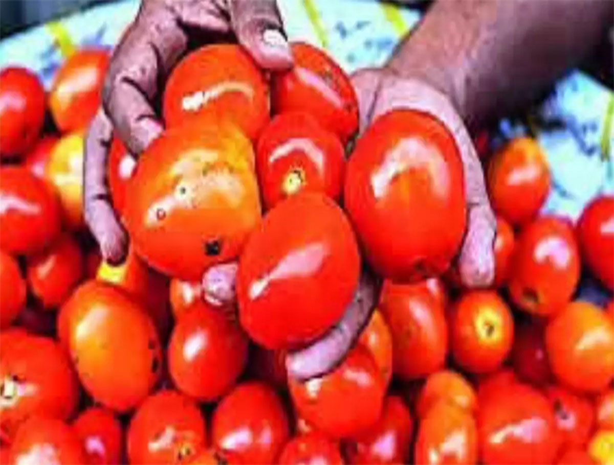 Prices Of Tomato Sees a Surge in Madanapalle Market