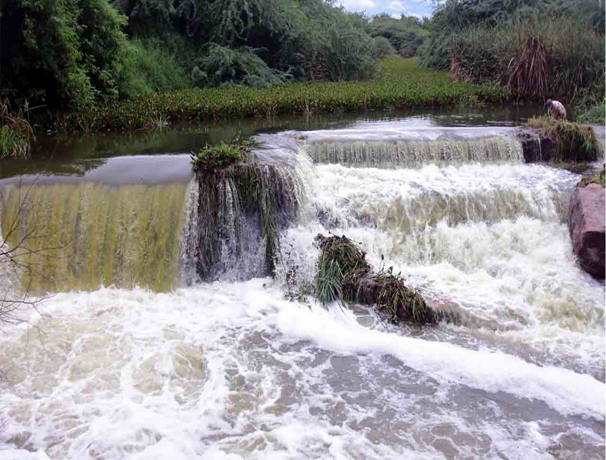 Heavy Rains Fill Various Water Bodies in Erstwhile Warangal