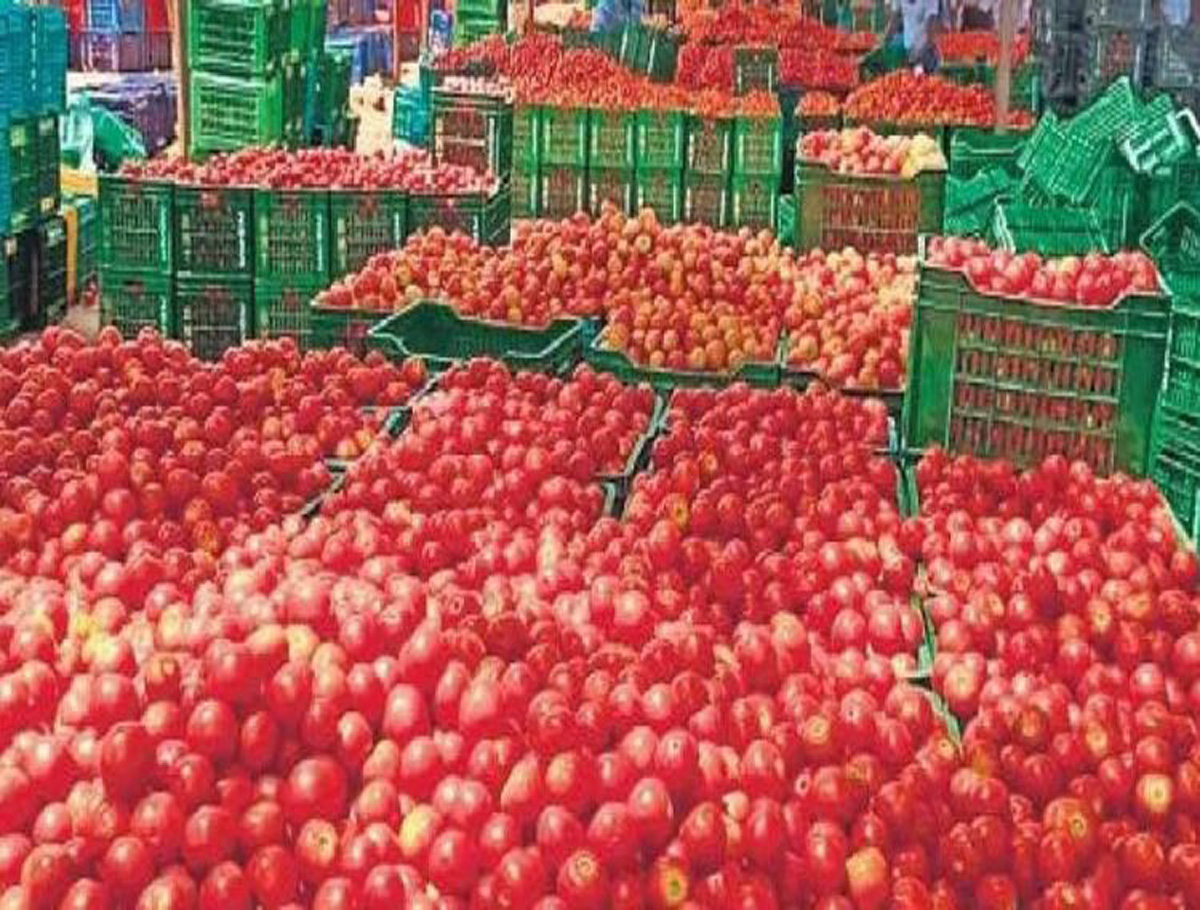 Tomatoes Prices See Dip In Hyderabad 