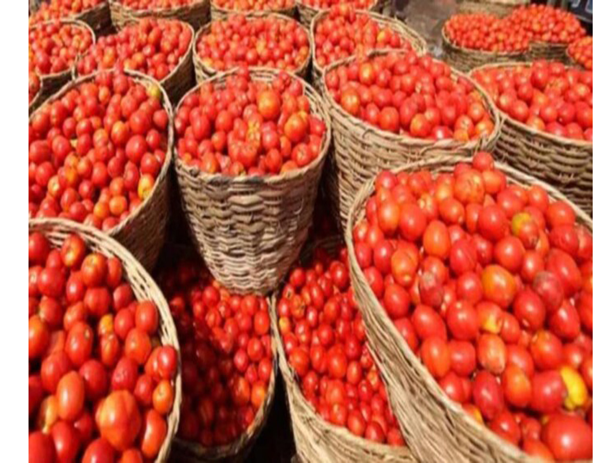 Tomato Prices Have Come Down To Ground In Hyderabad: 2Kg For Rs. 100 On Road 