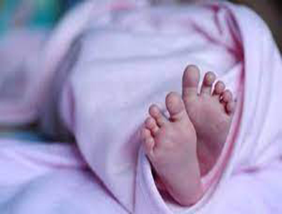 Newborn Baby Girl Found Abandoned in Mulugu