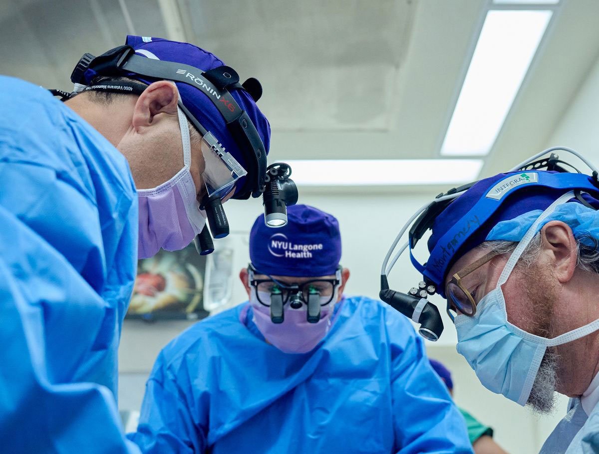 A Pig Kidney For Man : Record Of American Doctors