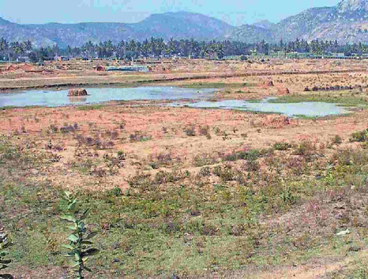 Bengaluru: 478 Lakes Dried Up Due To Rains in July