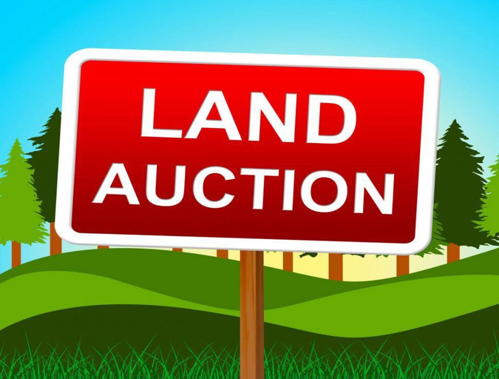 Budwell Land Auction: Record Price