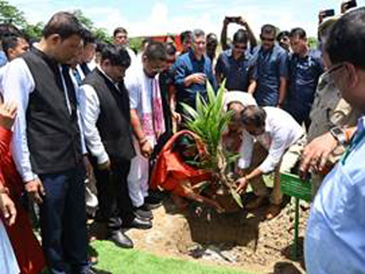 Mega Oil Palm Plantation Drive Organized In 49 Districts Of 11 States