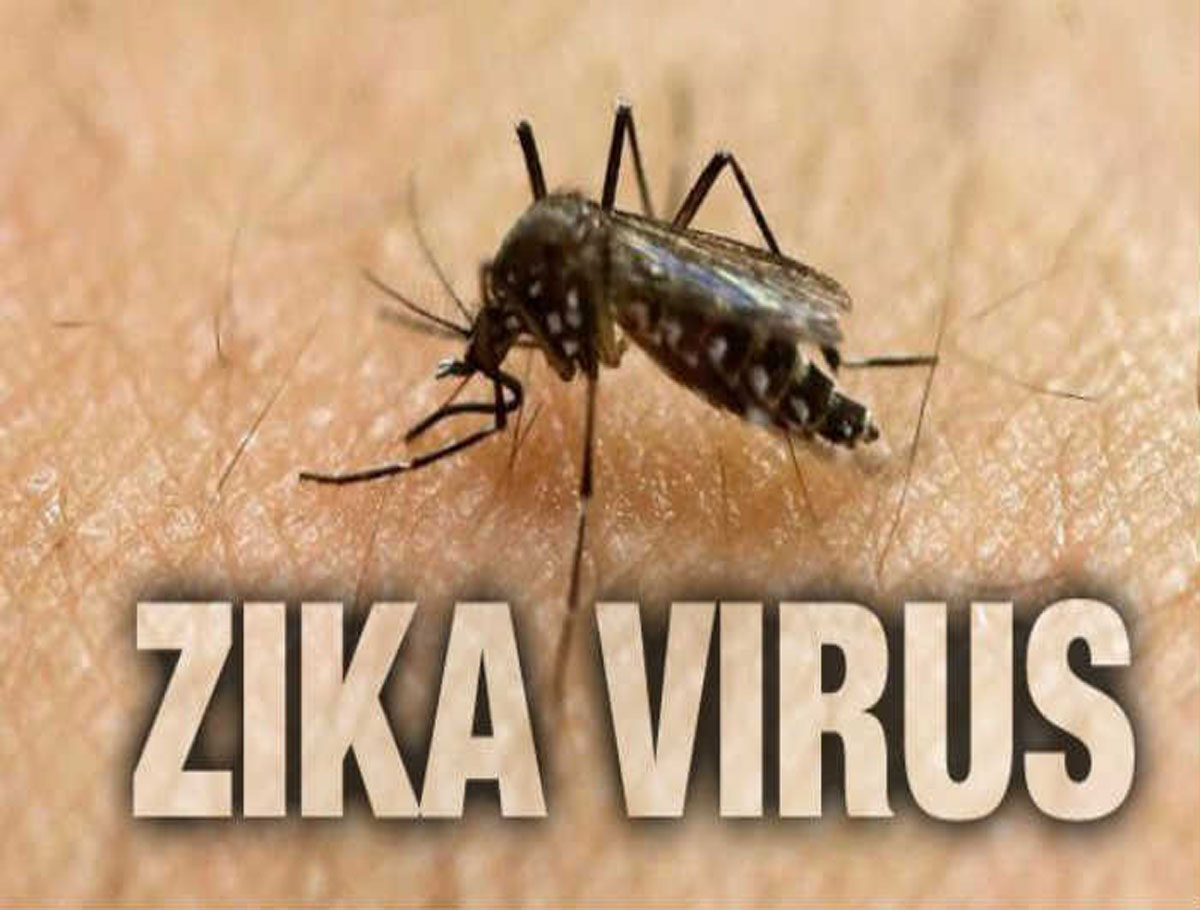 Mumbai Reports First Case of Zika Virus