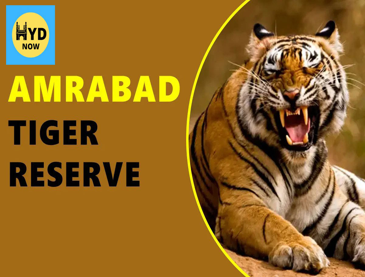 Amrabad Tiger Reserve to Reopen on October 4