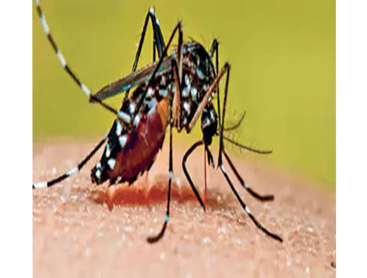 Tamil Nadu Health Department Launches a Drive to Control Dengue