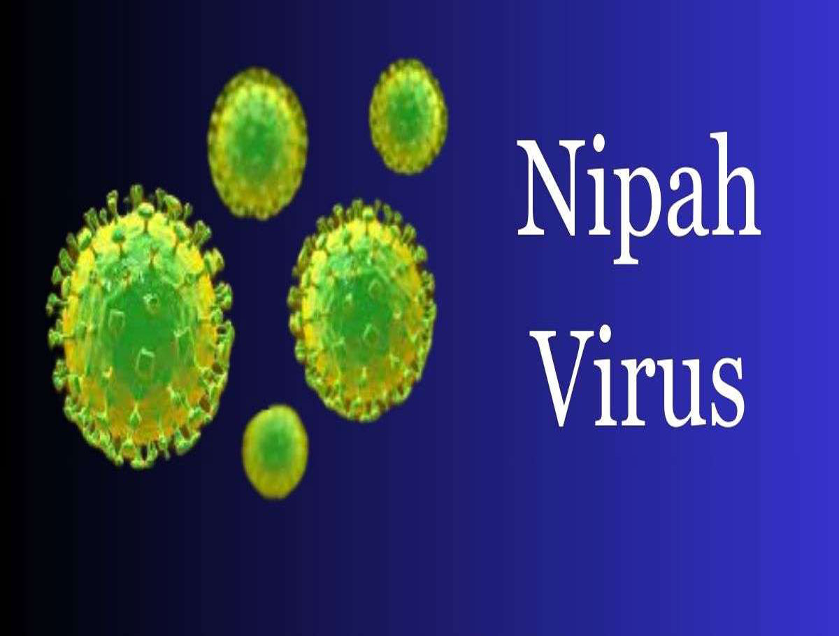 Rajasthan Issues Alert for Medical Officials Amid Nipah Virus