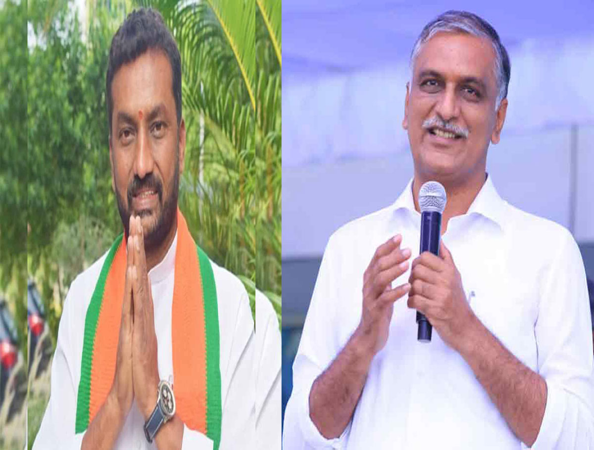 Raghunandan Rao Is Ready To Contest Against Harish Rao In Siddipet If The Party Orders