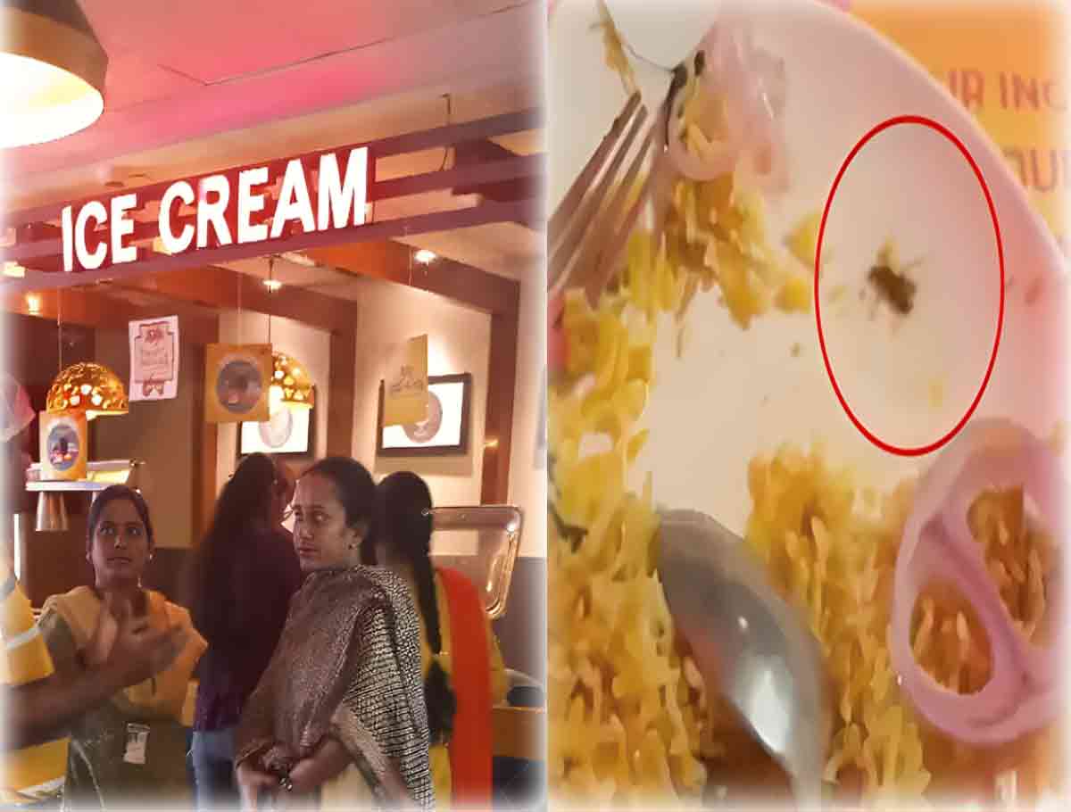 Dead Cockroach Found In The Biryani: GHMC Conduct Inspection 