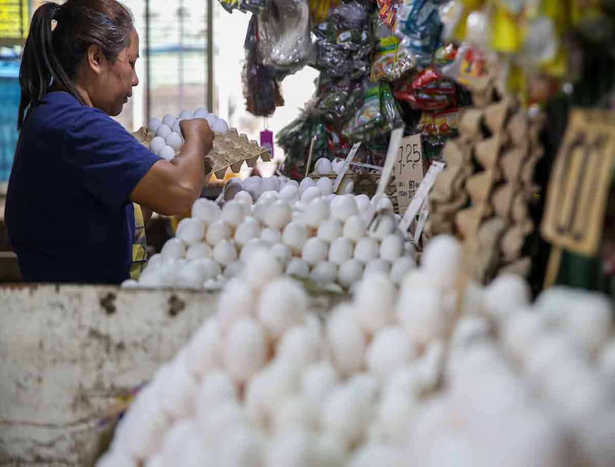Eggs Cost More in Telangana: What's Cracking Up?
