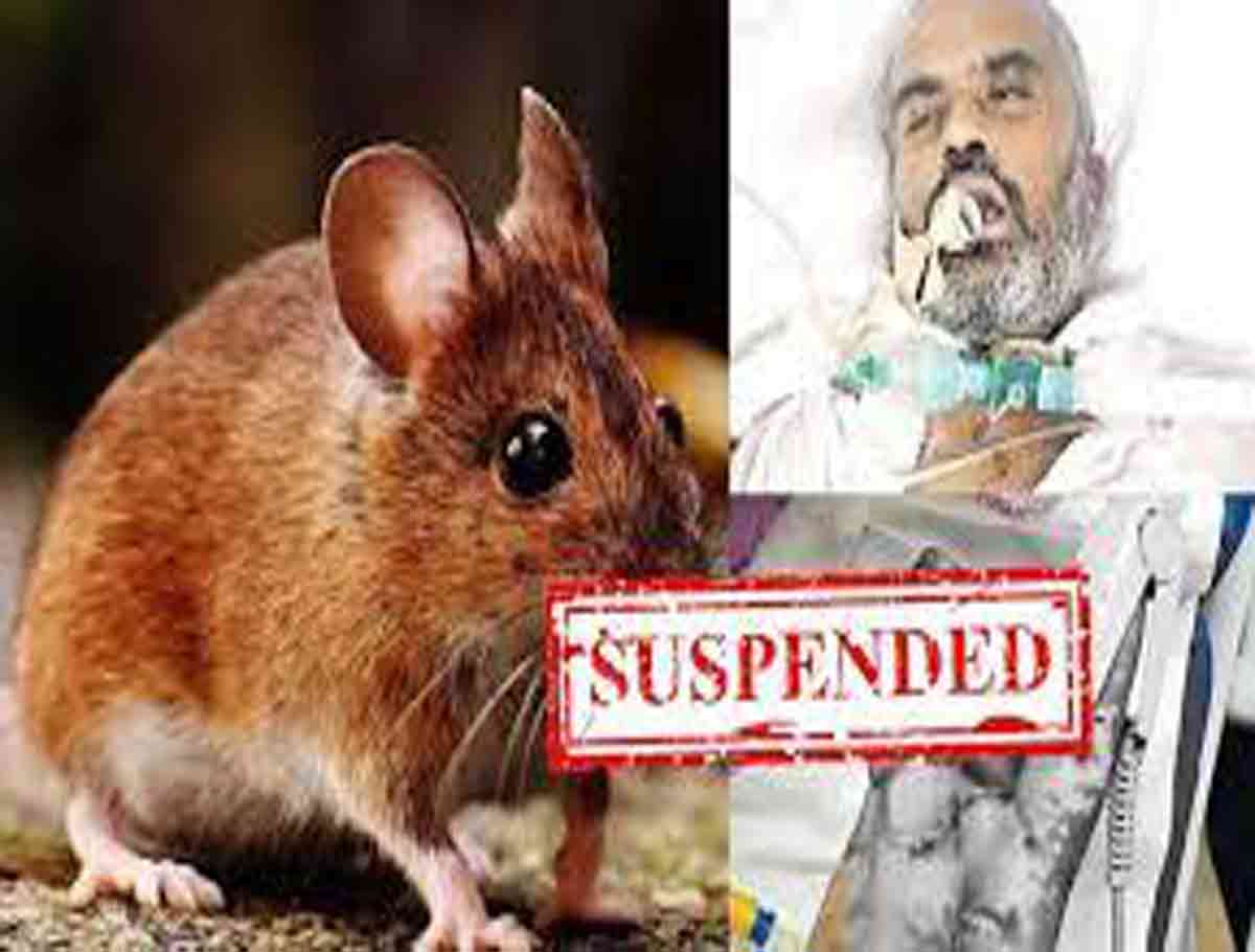 Two Doctors Suspended After Rats Bite Patient in Kamareddy Hospital